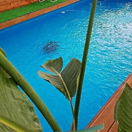 Vesuvius Chalet Relax Appartamento *