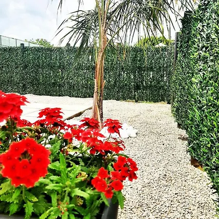 Vesuvius Chalet Relax Apartment *